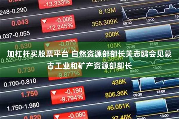 加杠杆买股票平台 自然资源部部长关志鸥会见蒙古工业和矿产资源部部长