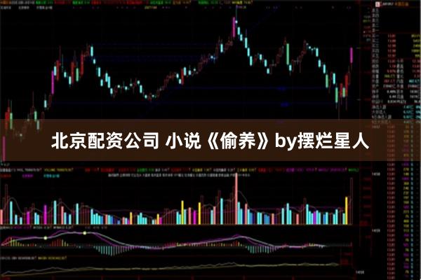 北京配资公司 小说《偷养》by摆烂星人